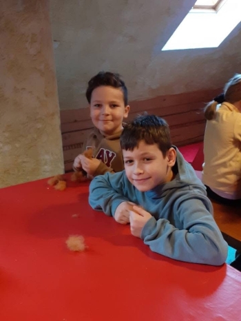 image_EC327040-E749-418B-AC4D-8D073FE41178_1769164429.jpeg