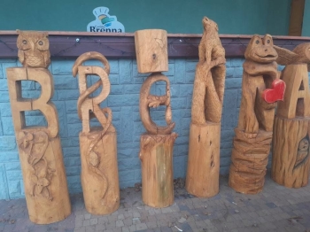image_1732D874-ED3E-4C0A-9FB8-3DDE660308AA_1769164454.jpeg