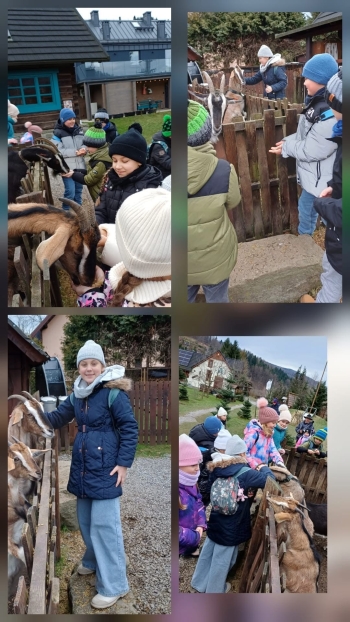 image_3EFB6E43-C5EE-4A3E-95D4-A25A6E0439C8_1769164486.jpeg