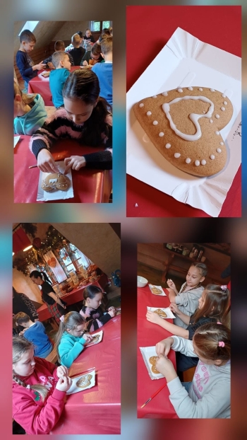 image_1158A3A3-4D0F-494C-A3B8-ECF95F4B79BA_1769164486.jpeg