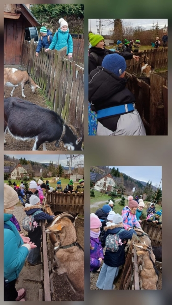 image_C1B64B49-C00C-4EF9-A25D-7539C9F4C56A_1769164486.jpeg