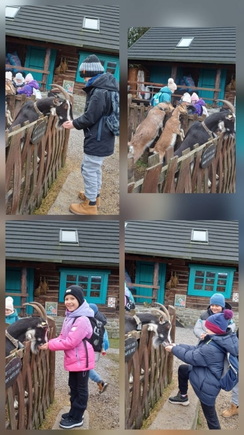 image_0EBD321F-A685-460D-9DA7-5697622D2356_1769164543.jpeg