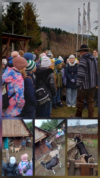 image_1CE476B3-6BCF-42C4-BDD0-CB5D8D3EF4BF_1769164543.jpeg