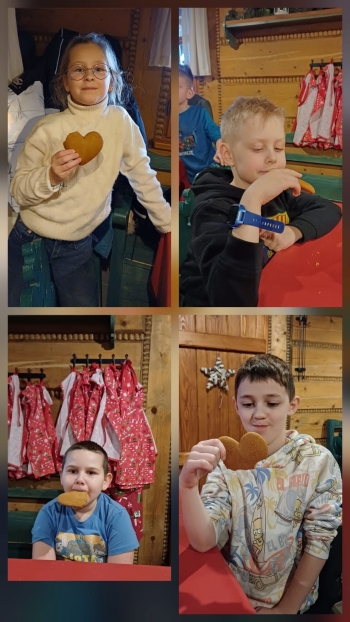 image_6B0858C7-658A-4B2C-9AE4-7D1CDC4E2DE1_1769164543.jpeg