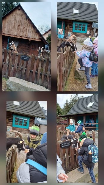 image_7640A97C-9638-49A5-B115-B146C60EC9E8_1769164543.jpeg