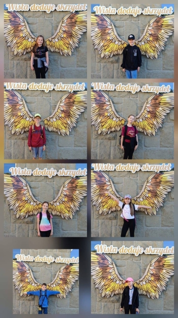image_AE368264-50EF-4895-A2A7-90023746AB0F_1778221158.jpeg
