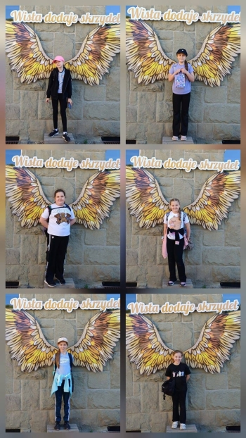 image_C8591A13-B04E-488C-A84E-D6D55CC9E4C2_1778221158.jpeg
