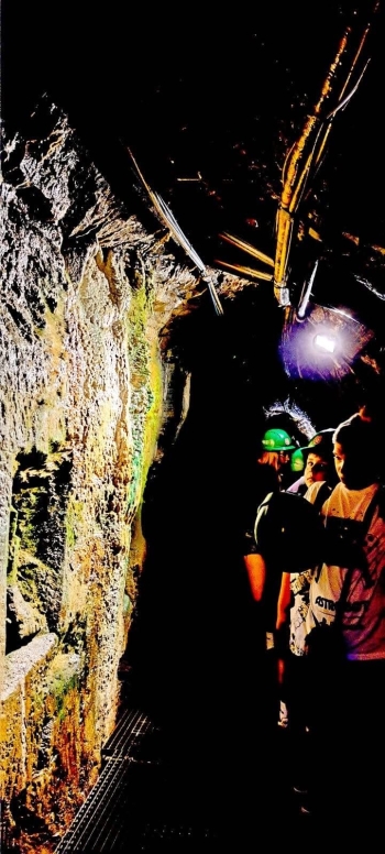 image_8F469786-420C-4783-9F1D-B21456663AE9_1780134303.jpeg