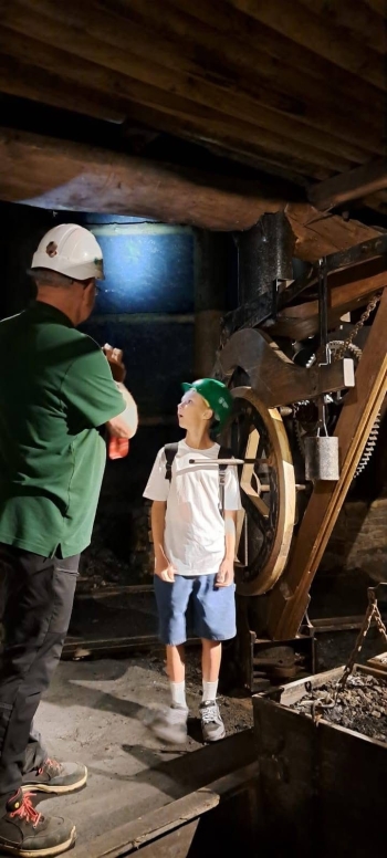 image_39201875-8DA0-4A82-B144-2A640E98AD29_1780134303.jpeg