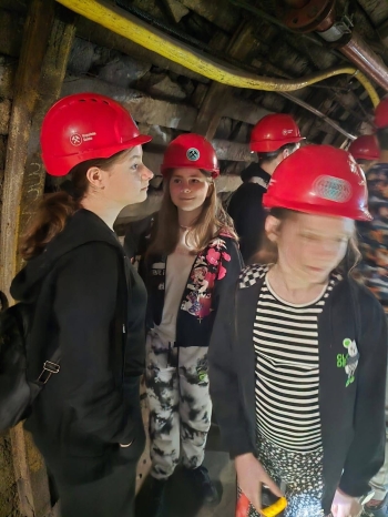 image_C4AA12C2-4C57-49D7-A835-30940E60CD06_1780134264.jpeg