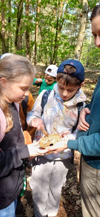 image_9B9DD215-6ADB-4007-A77C-B371B20AAA73_1780821382.jpeg