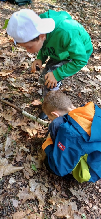 image_95C978F4-0D1F-4635-8F56-E2F04CA04A5D_1780821382.jpeg