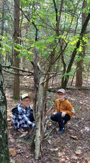 image_72F4347B-FF28-48B6-BD96-3EC8B8648D46_1780821382.jpeg