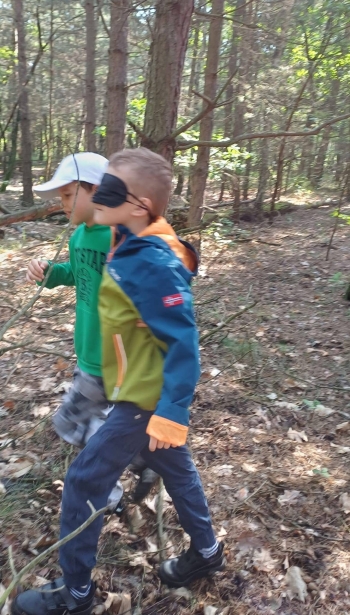 image_5713B4E4-B054-489C-8F9B-FA1E8AED6343_1780821416.jpeg