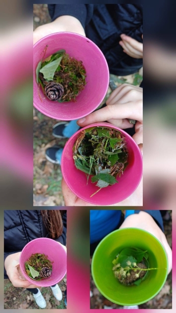 image_620501CE-B6EC-462F-ABA5-E5C61E720D66_1780821353.jpeg