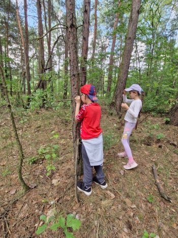 image_7858183A-4CE1-4606-B36F-CA00CCD977E2_1780821353.jpeg