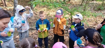 image_A288E45D-5807-4451-9AD6-A896808B7159_1780821440.jpeg