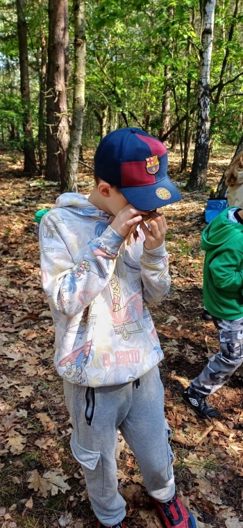 image_A4AC12A4-219D-43C2-A965-353F702A3693_1780821416.jpeg
