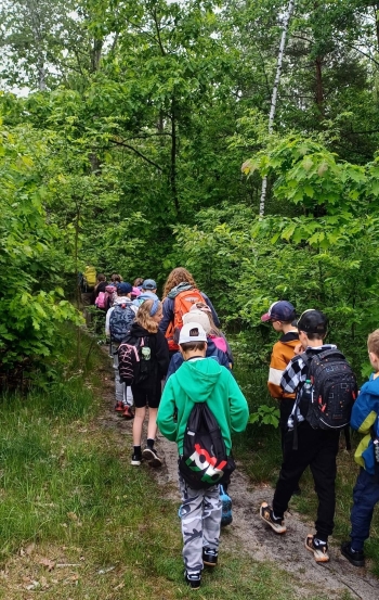 image_AD0E274E-0D4A-4E4B-B387-AB5E7B1477DF_1780821353.jpeg