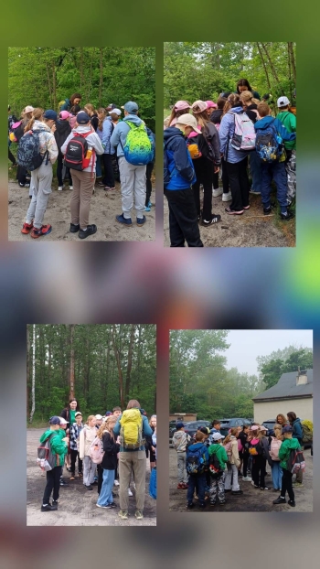 image_C165F553-9943-43C2-9D53-6B3E73E24D3E_1780821353.jpeg