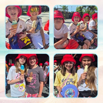 image_1F86F3D6-0469-4F65-A8BE-5E0A39CD2CCA_1781180840.jpeg