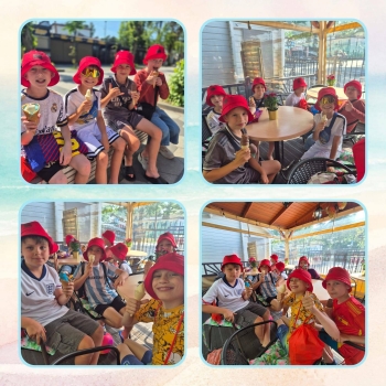 image_3FB7DEBE-02AF-4CF0-9AD8-5B2F5AE29827_1781180840.jpeg