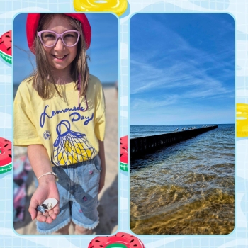 image_6535FAC7-8BA0-41E3-B284-BDDB8639198E_1781180872.jpeg