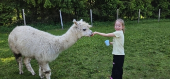 image_03F8CA19-6487-4E91-A368-4BF3771E3A84_1781181353.jpeg