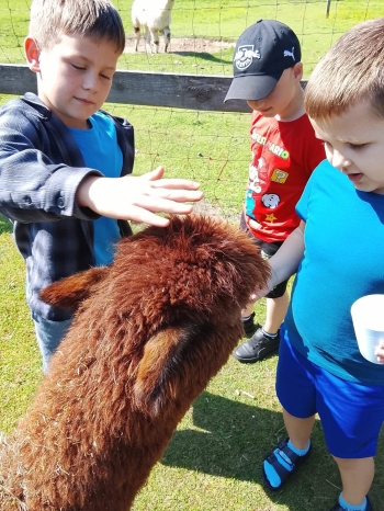image_9A58C766-9226-4872-B2D9-250F14F1B3CE_1781181430.jpeg