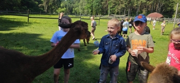 image_9C488F5E-9EA2-4359-879A-88EB56FD65AA_1781181353.jpeg