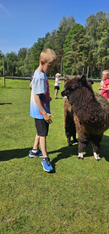 image_23A98464-D4D3-4ED8-98CF-47A6443CBE32_1781181390.jpeg