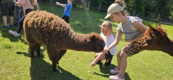 image_57BDE127-4041-48EB-9D94-1904E4403760_1781181353.jpeg