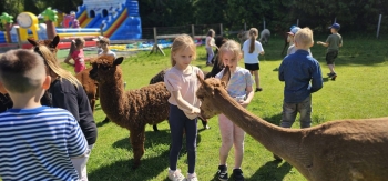 image_88D073B4-2C11-4F84-864F-9D7132277E23_1781181353.jpeg