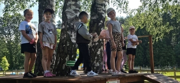 image_764E6593-D6CC-427C-811F-1B1FFAB42CE6_1781181314.jpeg