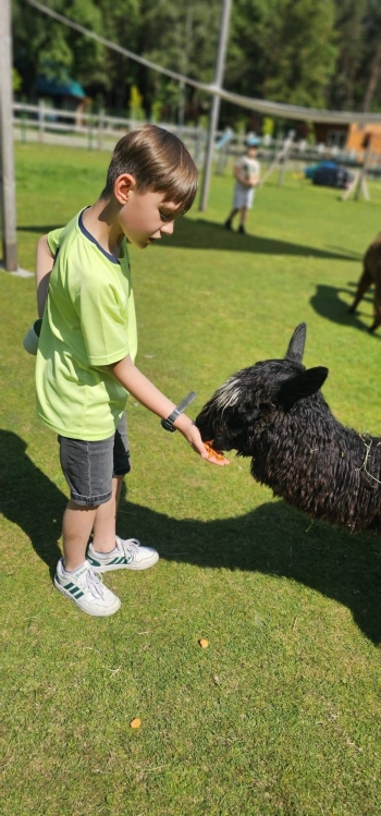 image_3729E9EF-9537-46A0-A82F-F0ED8D9B5BC8_1781181390.jpeg