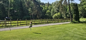 image_9094CE11-8C1D-4F29-B822-47736DAA67C7_1781181314.jpeg