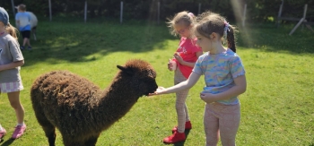 image_41853C9E-9274-4C45-93A9-84A9A8274C6A_1781181390.jpeg