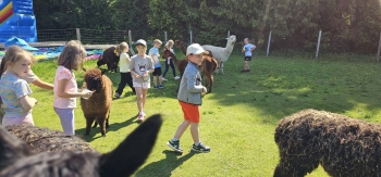 image_282435C6-F963-4B9A-BA94-5A616C4AA989_1781181390.jpeg