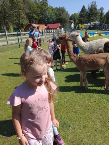 image_449524FE-9543-4F58-B0AA-93647F266DDA_1781181430.jpeg