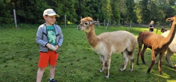 image_CAF1C0E2-E2B8-49C1-937F-181A129E4B4A_1781181390.jpeg