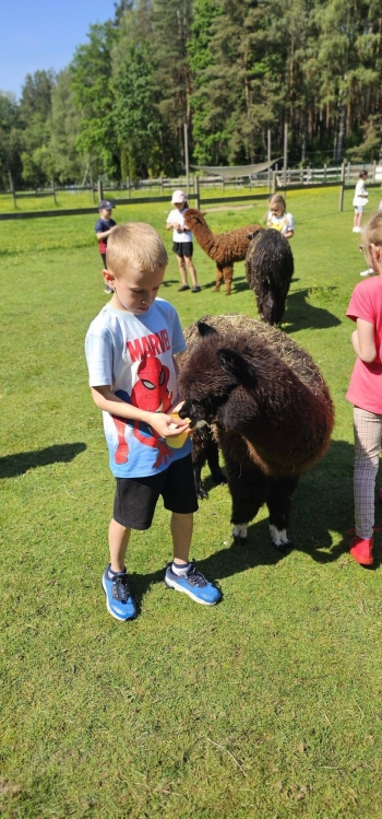 image_E4E3F1C1-56E7-4B86-8F76-2BCD3C538787_1781181353.jpeg