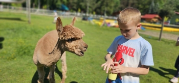 image_E116B162-B70F-4B7D-9C08-4FCF16134AC8_1781181390.jpeg