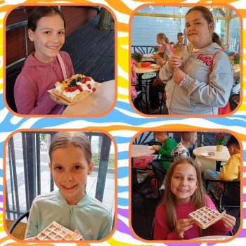 image_6B88D885-57EC-445A-B757-EB1ACD4546FE_1781514671.jpeg