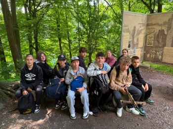 image_04D2070A-ABB4-4D02-9415-5927A82F3A15_1781515789.jpeg
