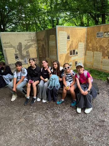 image_AF46C30C-1198-48D7-BD92-6125EF388428_1781515789.jpeg