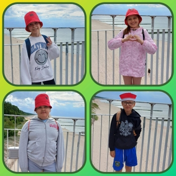 image_77CAACA9-3824-4481-8F56-8D75CA53E96C_1781518367.jpeg