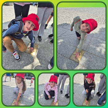 image_113B839D-9D45-44DC-AD4C-4E0C002704FB_1781518425.jpeg