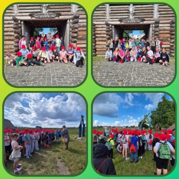 image_68876514-D9D7-4B95-BC4D-AD753968ACDE_1781518425.jpeg