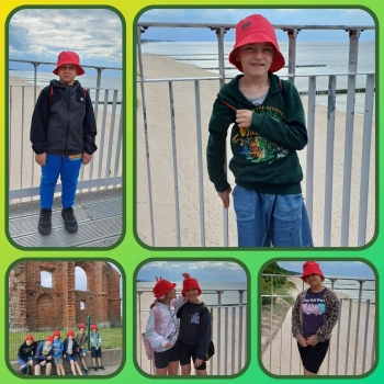 image_A80424C6-CF18-4EC6-98A7-DD38C1A621DE_1781518367.jpeg