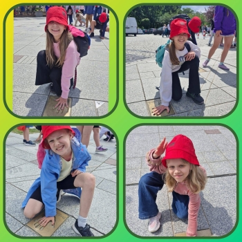 image_AC75B780-4D08-449B-8BCD-BC95D2ECC62D_1781518425.jpeg